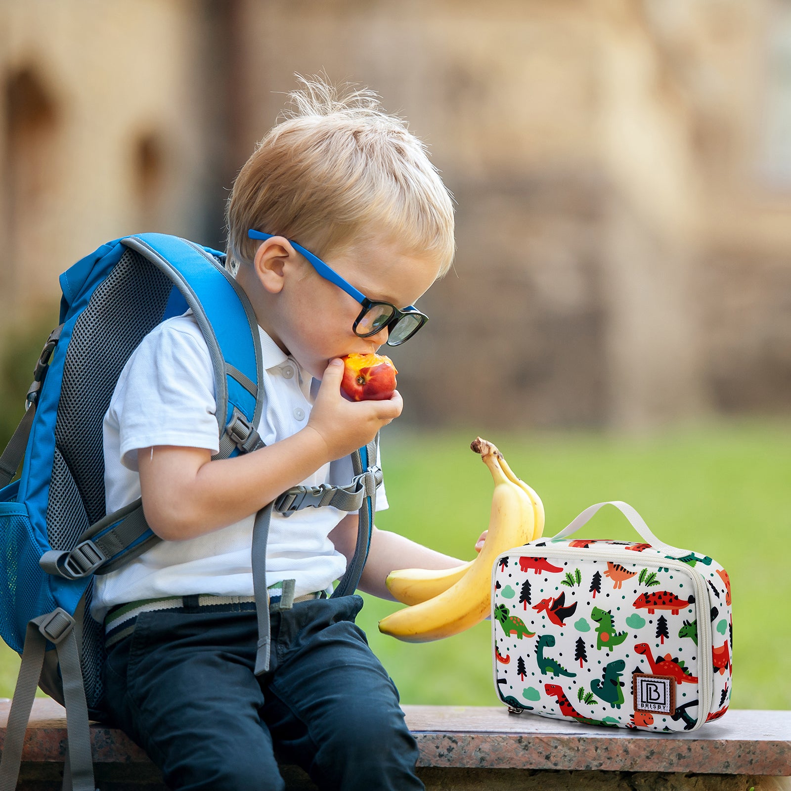 Cooler bag 2.5L dinosaur - 4-layer insulated - free cooling element