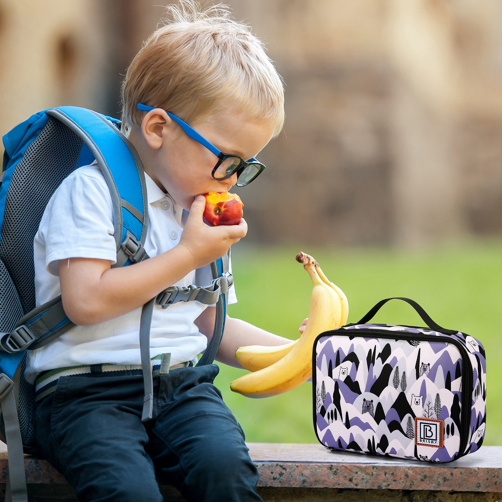 Cooler bag 2.5L bear - 4-layer insulated - free cooling element