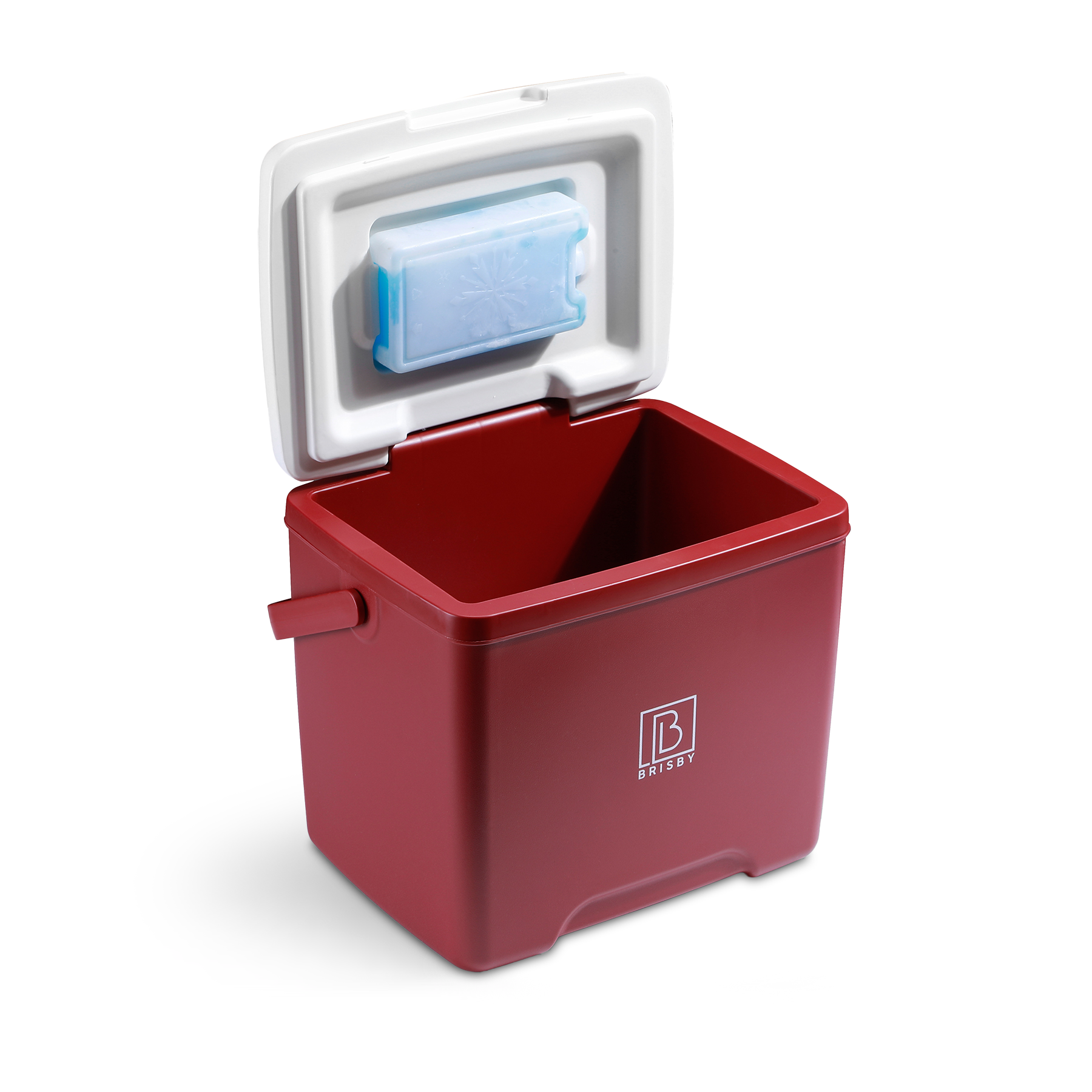 Koelbox 13L rood - Tot maximaal 40 uur isolatie - incl. 2 450ml koelelementen - temperatuur veilige sluiting - koelelement vergrendeld in deksel