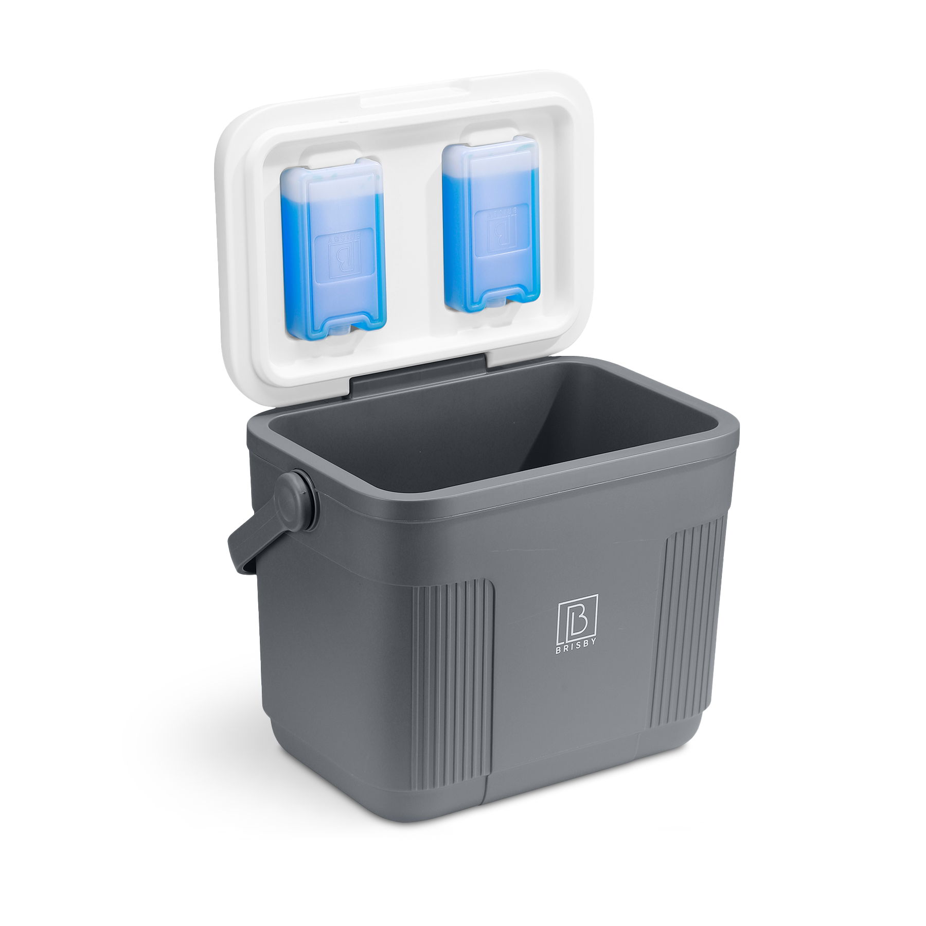 Cool box 22L grey - Up to 40 hours insulation - incl. 4 450ml cooling elements - temperature-safe closure - cooling elements locked in lid