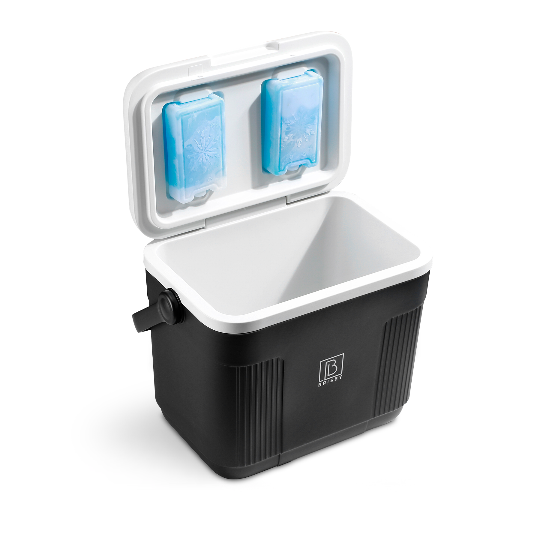 Cool box 22L black - Up to 40 hours of insulation - incl. 4 450ml cooling elements - temperature safe closure - cooling elements locked in lid