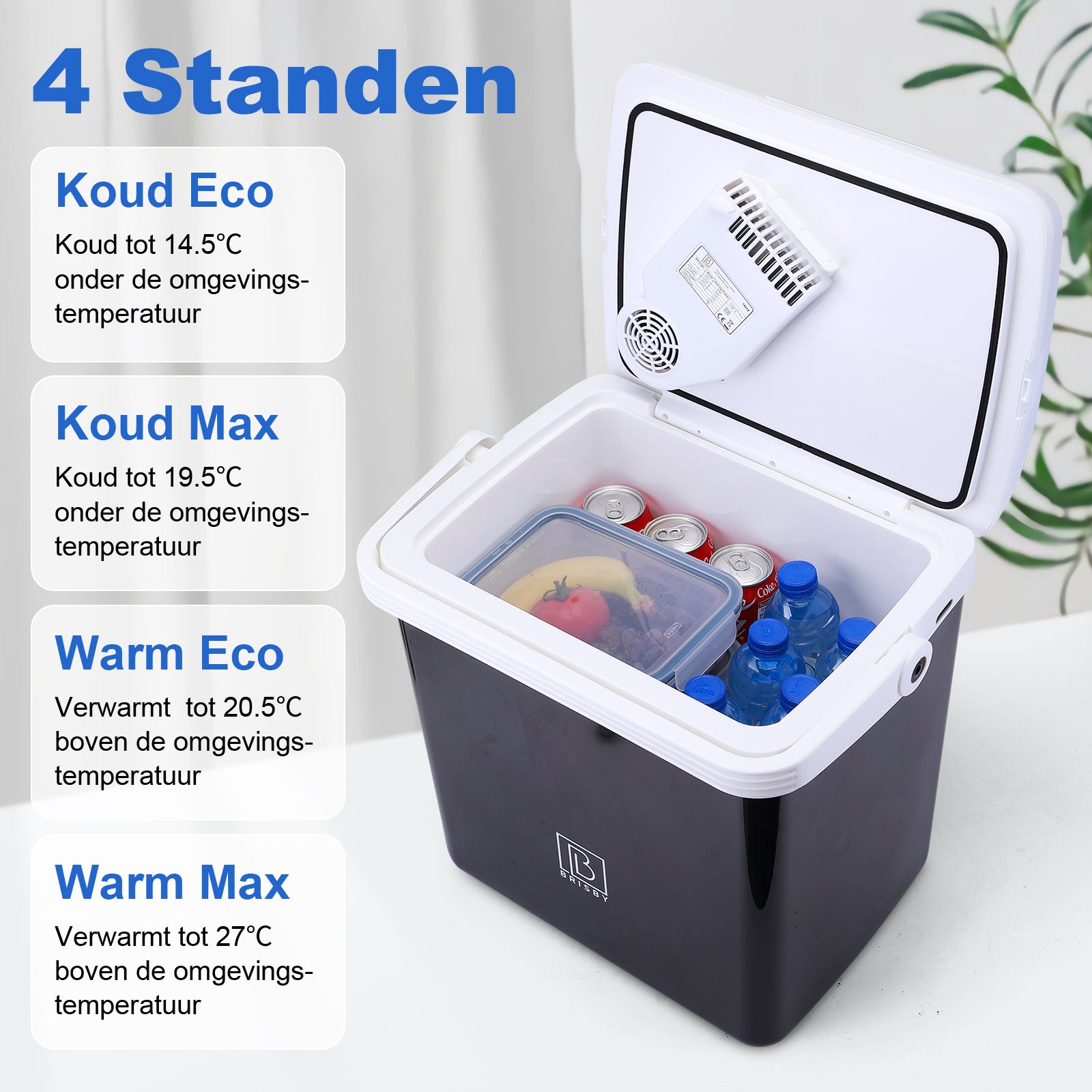 Elektrische koelbox 25L zwart - AC/DC 12V, 220/230V - incl. divider en vershoudbakjes - vergrendelbare deksel