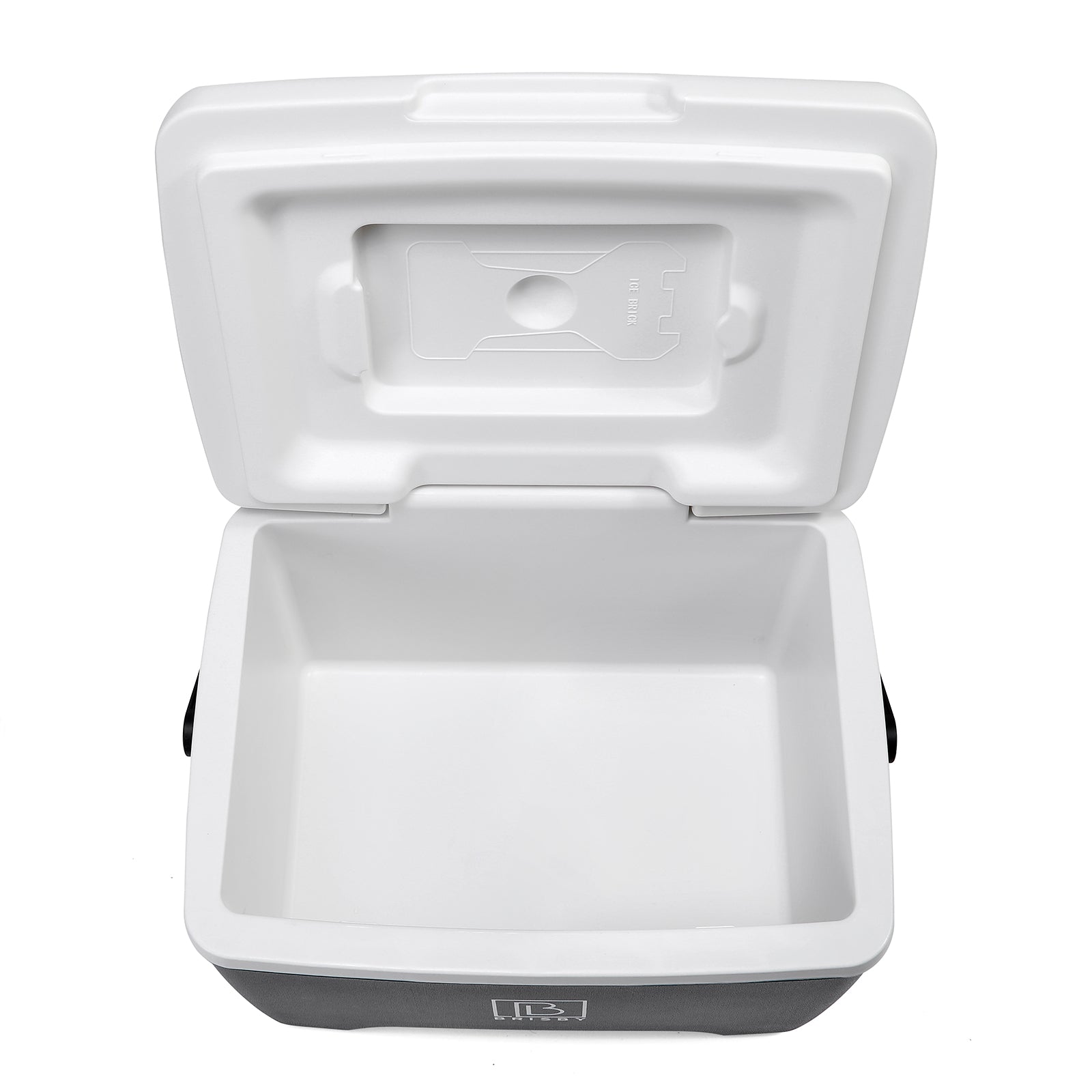 Koelbox 8L zwart - 40 uur isolatie - 2 koelelementen - temperatuur veilige sluiting