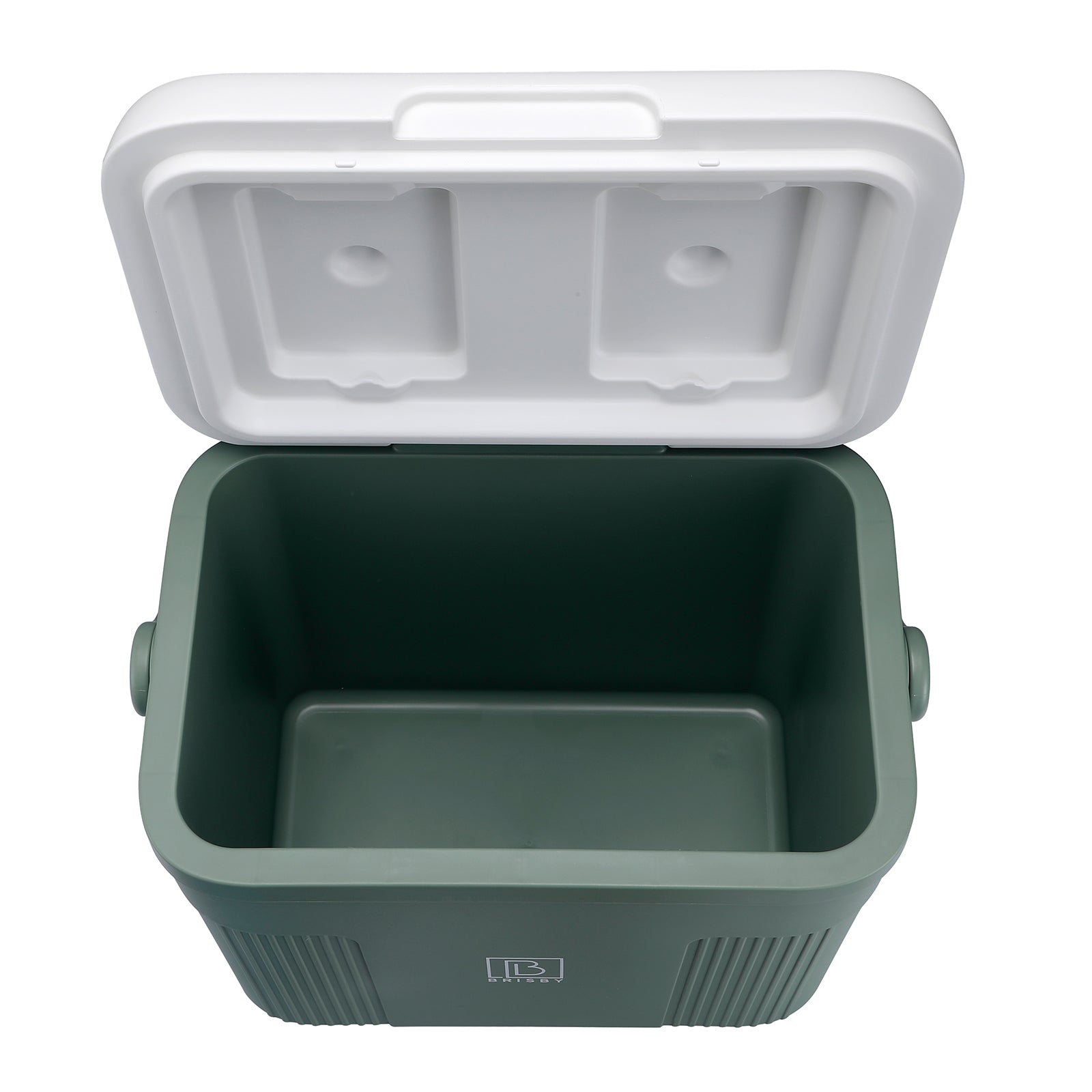 Koelbox 22L groen - Tot maximaal 40 uur isolatie - incl. 4 450ml koelelementen - temperatuur veilige sluiting - koelelementen vergrendeld in deksel