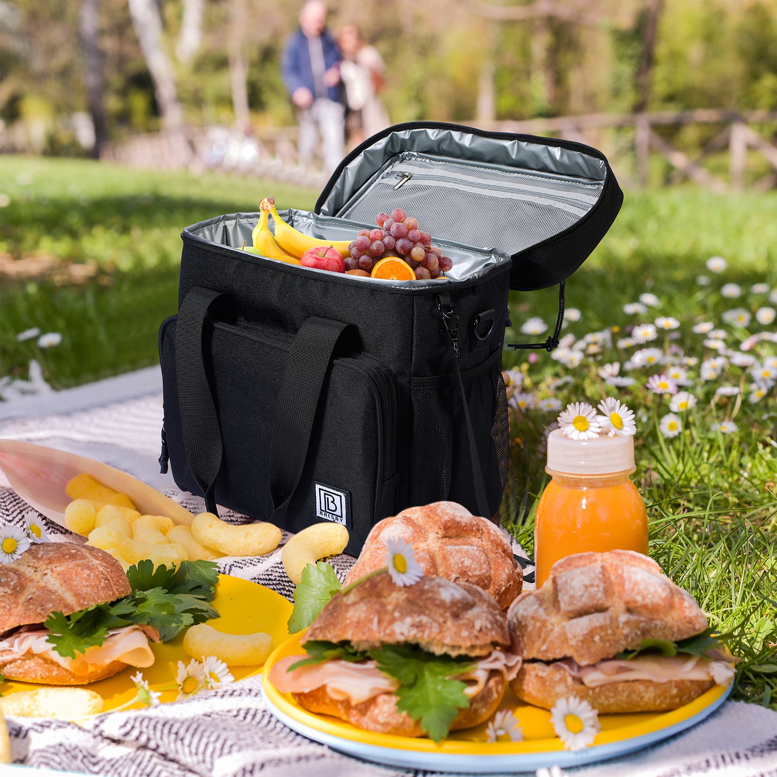 Brisby Koeltas 15L zwart - incl. 2 koelelementen, schouderband