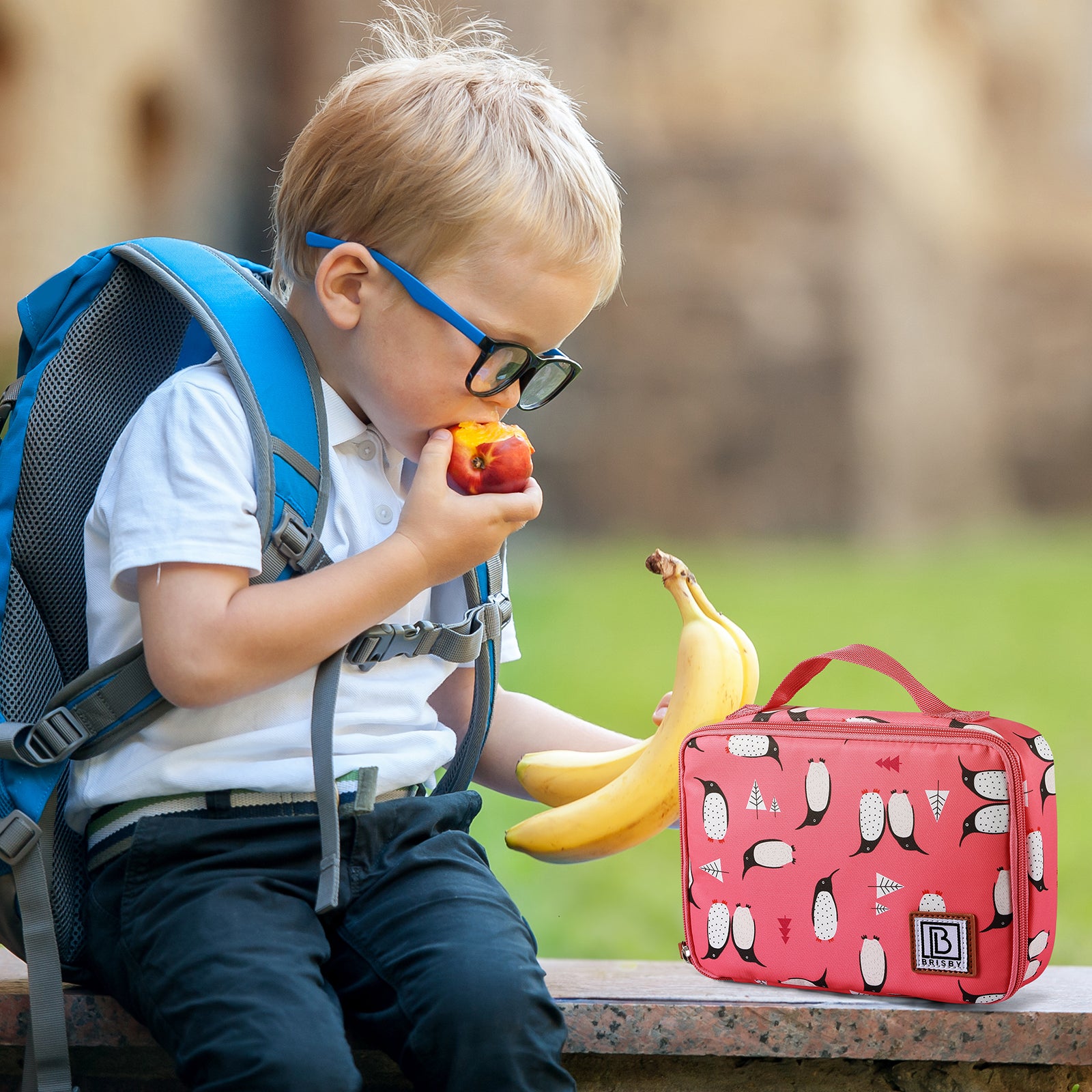Cooler bag 2.5L penguin - 4-layer insulated - free cooling element