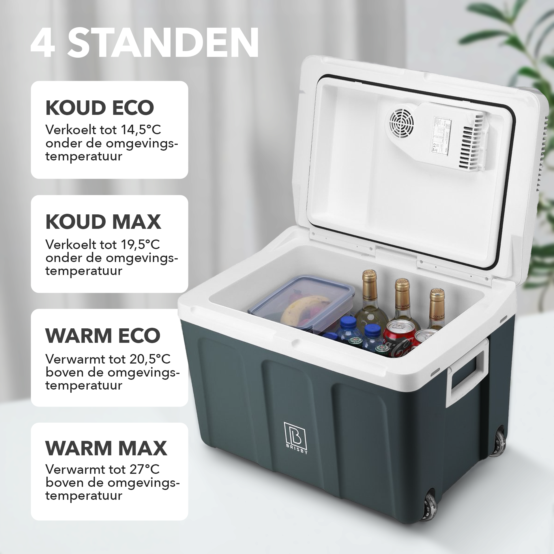 Elektrische koelbox 40L zwart SET - Incl. 8L passieve koelbox - incl. divider en koelelementen - AC/DC 12V, 220/230V