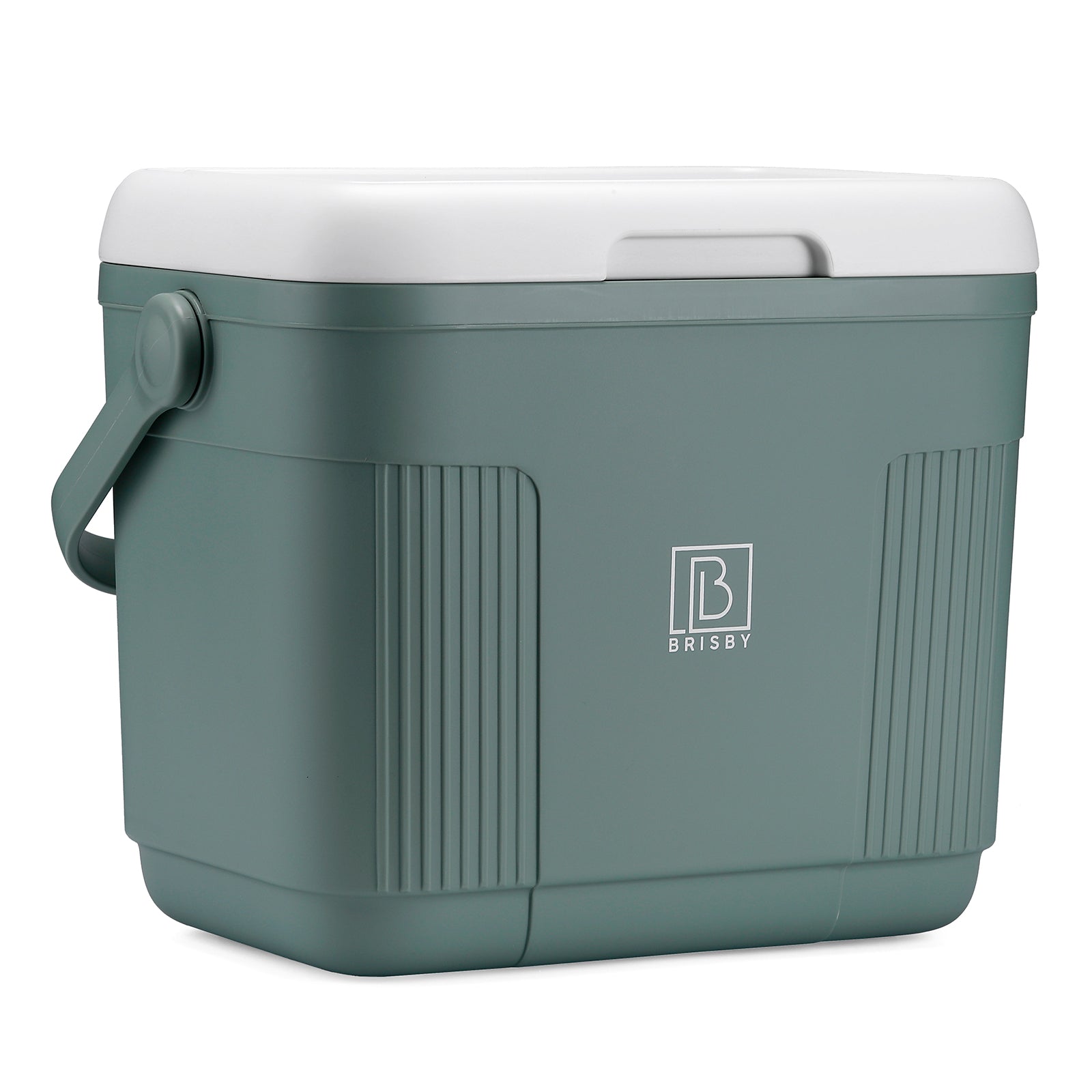 Koelbox 22L groen - Tot maximaal 40 uur isolatie - incl. 4 450ml koelelementen - temperatuur veilige sluiting - koelelementen vergrendeld in deksel