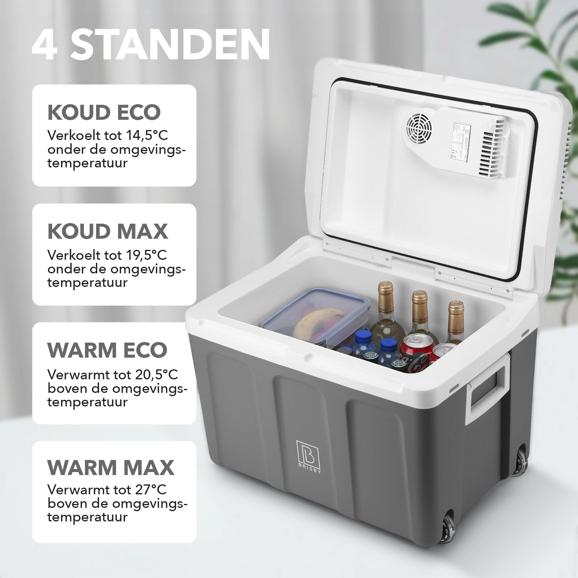 Elektrische koelbox 40L grijs SET - Incl. 8L passieve koelbox - incl. divider en koelelementen - AC/DC 12V, 220/230V