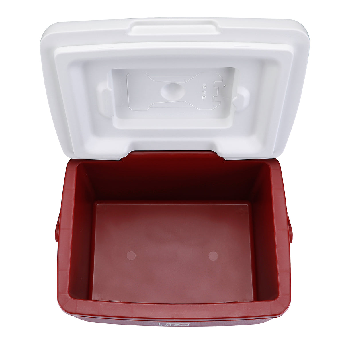Brisby Koelbox - Frigobox - 8L - Rood - Tot maximaal 40 uur isolatie - Incl. 2 dikke koelelementen van 450ml - Met koelelementen vergrendeld in deksel en Brisby 500ml Zwarte Dubbelwandige Thermosfles