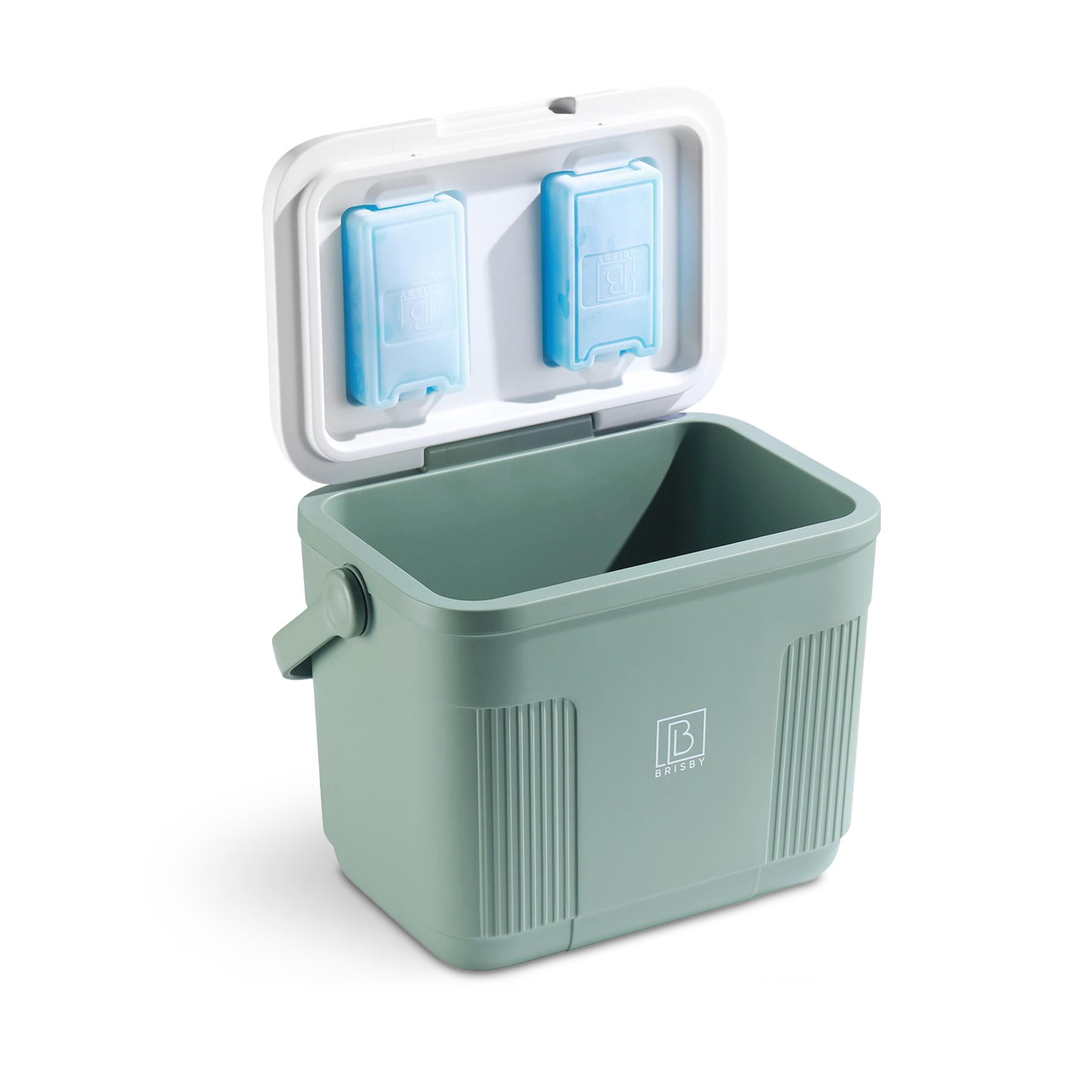 Koelbox 22L groen - Tot maximaal 40 uur isolatie - incl. 4 450ml koelelementen - temperatuur veilige sluiting - koelelementen vergrendeld in deksel