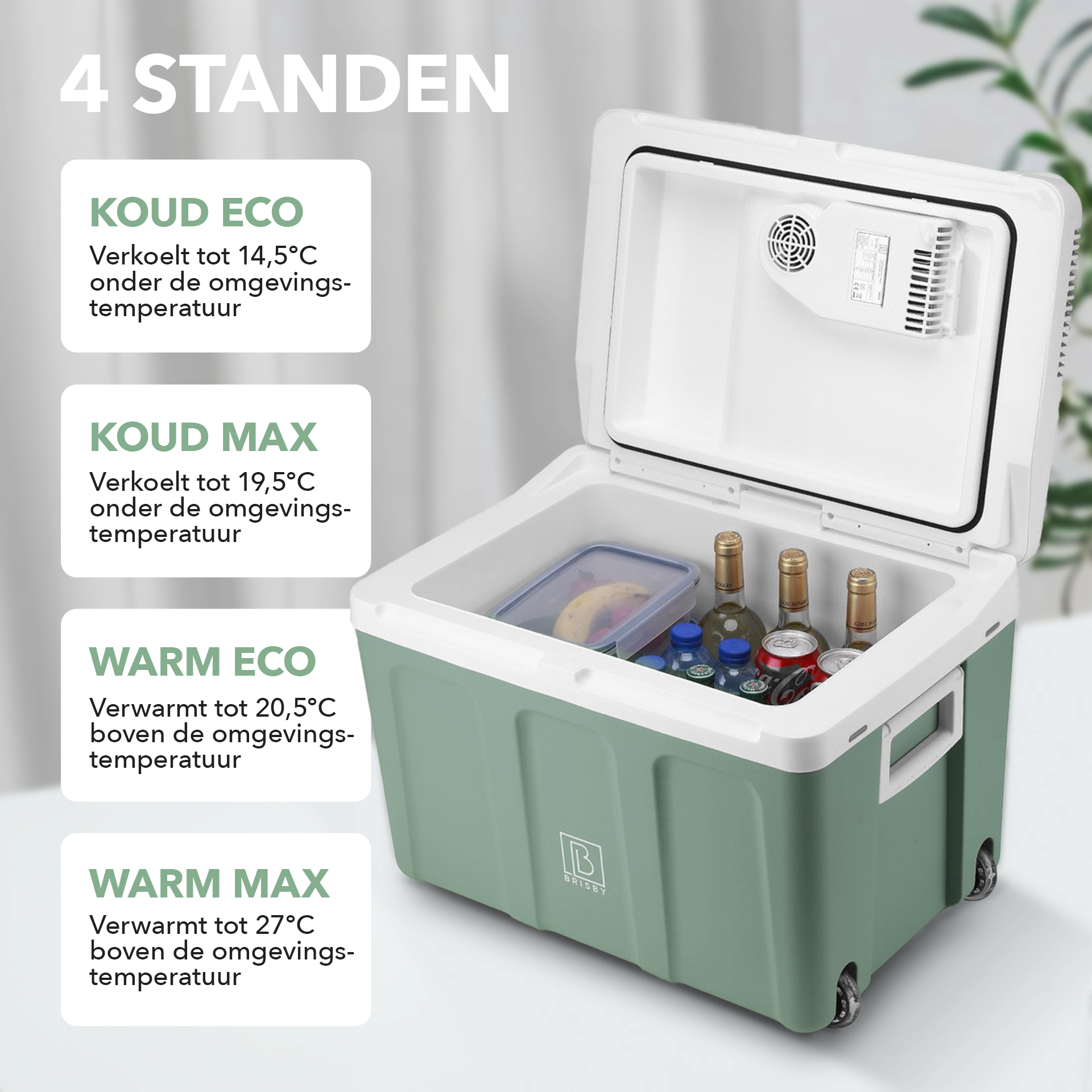 Elektrische koelbox 40L groen SET - Incl. 8L passieve koelbox - incl. divider en koelelementen - AC/DC 12V, 220/230V