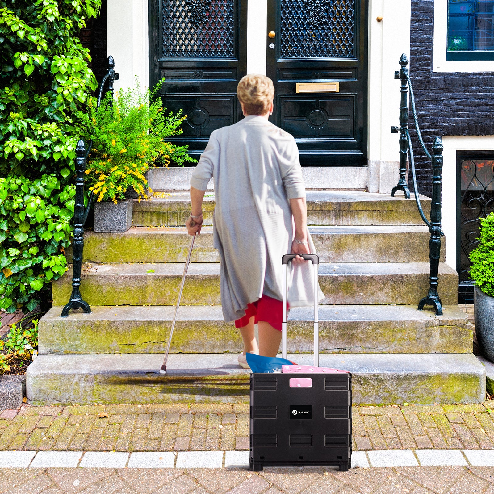 Packaway Boodschappentrolley 50L XL zwart - incl. deksel - 35 kg draagvermogen