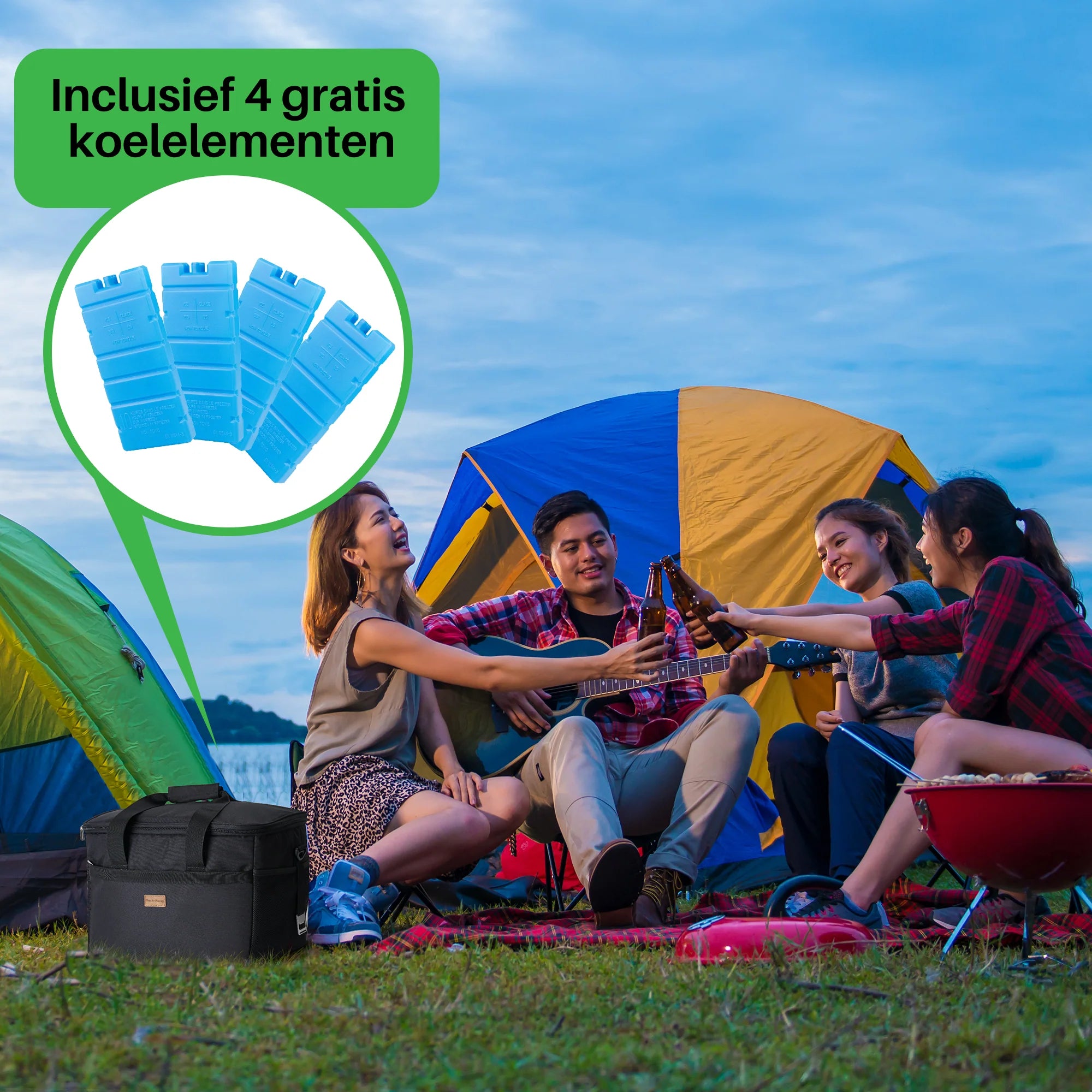 Cooler bag 30L black - lunch bag - foldable - 4-layer insulated - incl. 4 free cooling elements and carrying strap