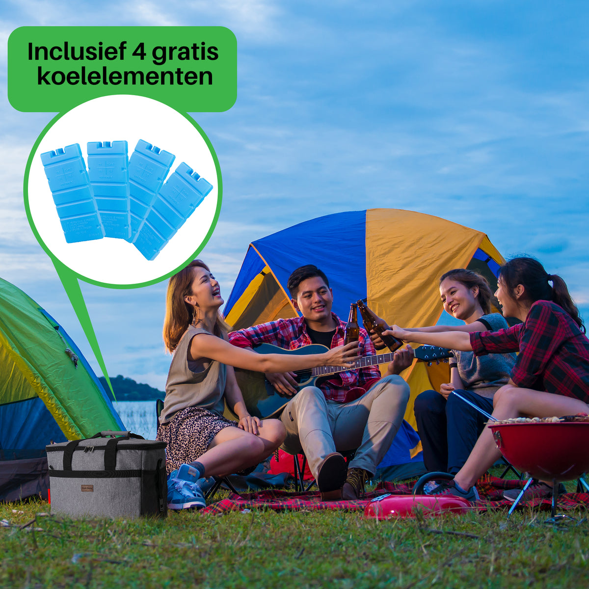 Koeltas 40L grijs - lunchtas - opvouwbaar - 4-laags geïsoleerd - incl. 6 gratis koelelementen en draagband
