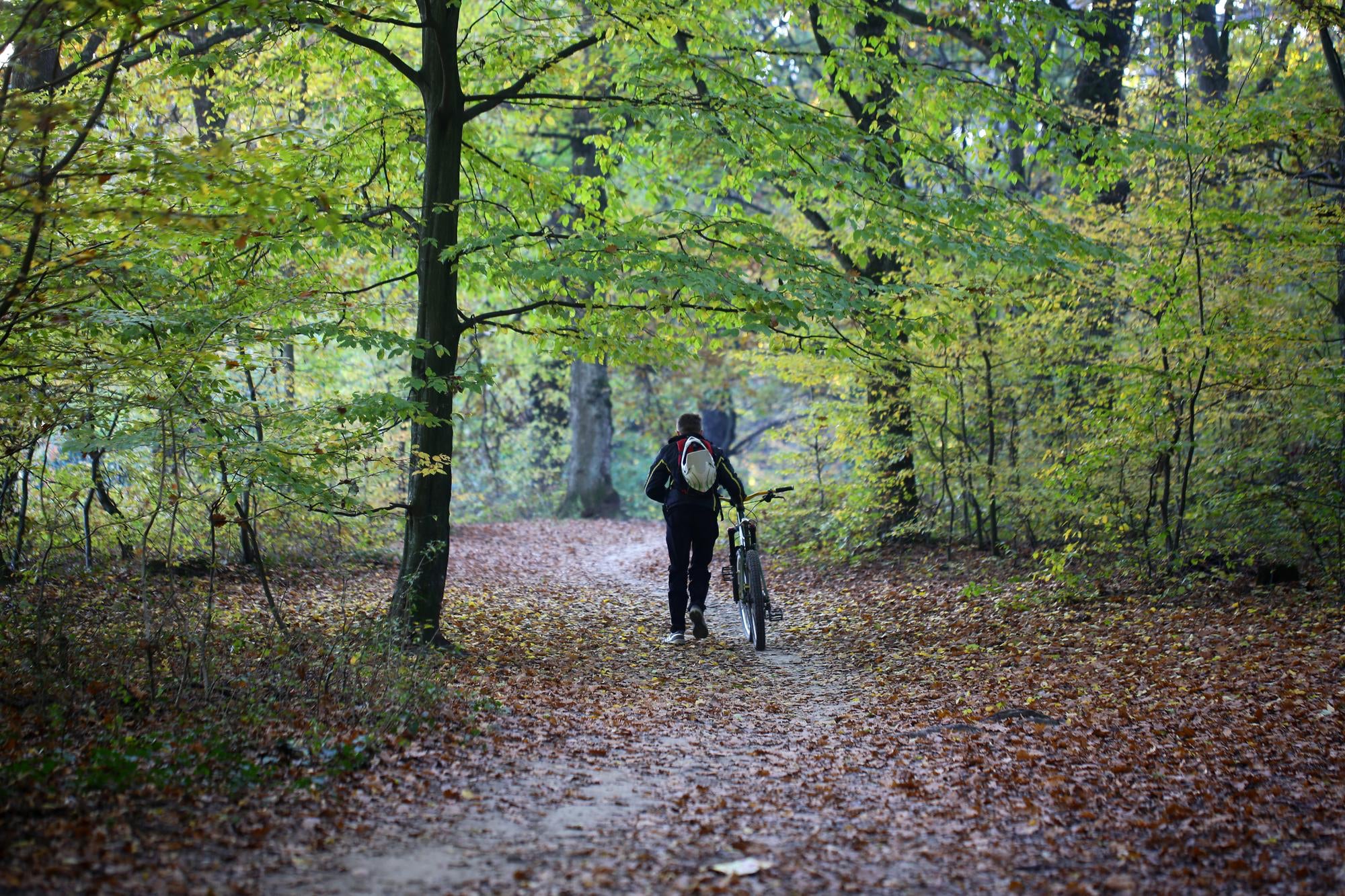 Top 10 Wandelroutes in Nederland voor Natuurliefhebbers