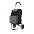 Boodschappentrolley Deluxe 50L met koelvak zwart-grijs - boodschappenwagen - steekwagenfunctie