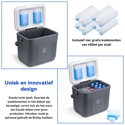 Brisby Koelbox 22L grijs + 2 thermosflessen 0,5L set -  incl. 4 koelelementen