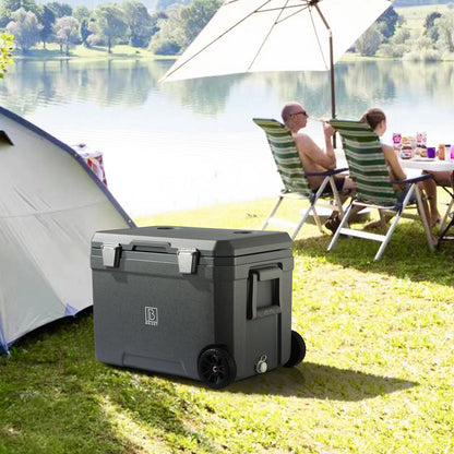 Cool box 45L grey - 3 days insulation - 4 cooling elements - temperature-safe closure