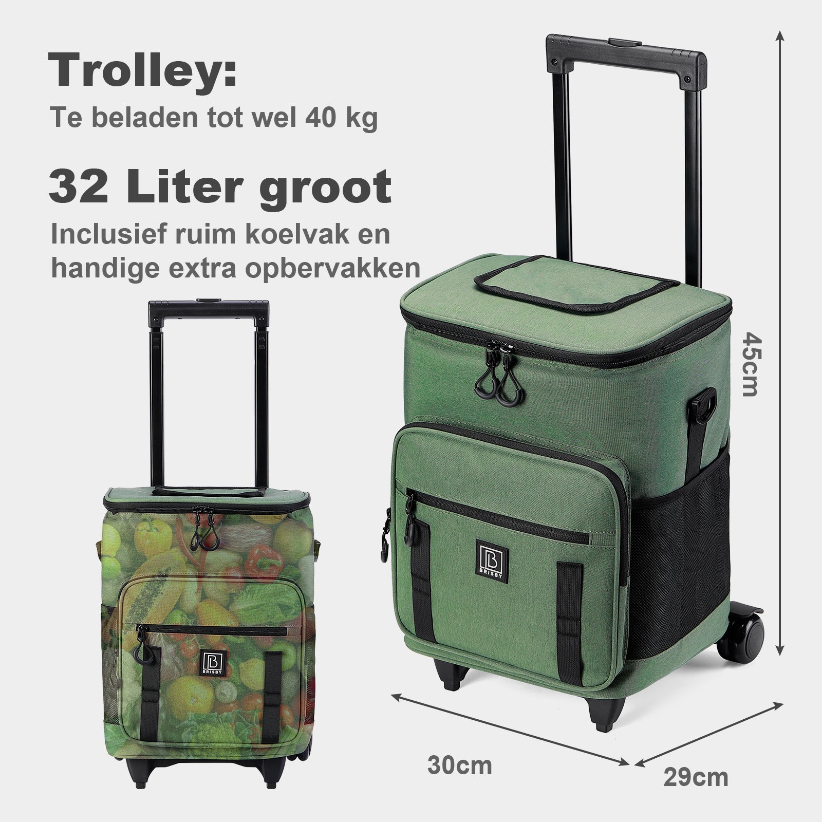 Brisby Boodschappentrolley met Koelvak – 32L Ruimte – Ideaal voor Boodschappen – Inclusief Koelelementen – Waterafstotend – Verstelbaar Handvat – Groen