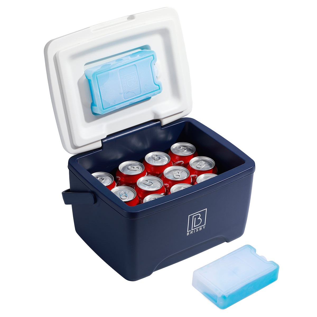 Brisby Koelbox - Frigobox - 8L - Blauw - Tot maximaal 40 uur isolatie - Incl. 2 dikke koelelementen van 450ml - Met koelelementen vergrendeld in deksel en Brisby 500ml Zwarte Dubbelwandige Thermosfles