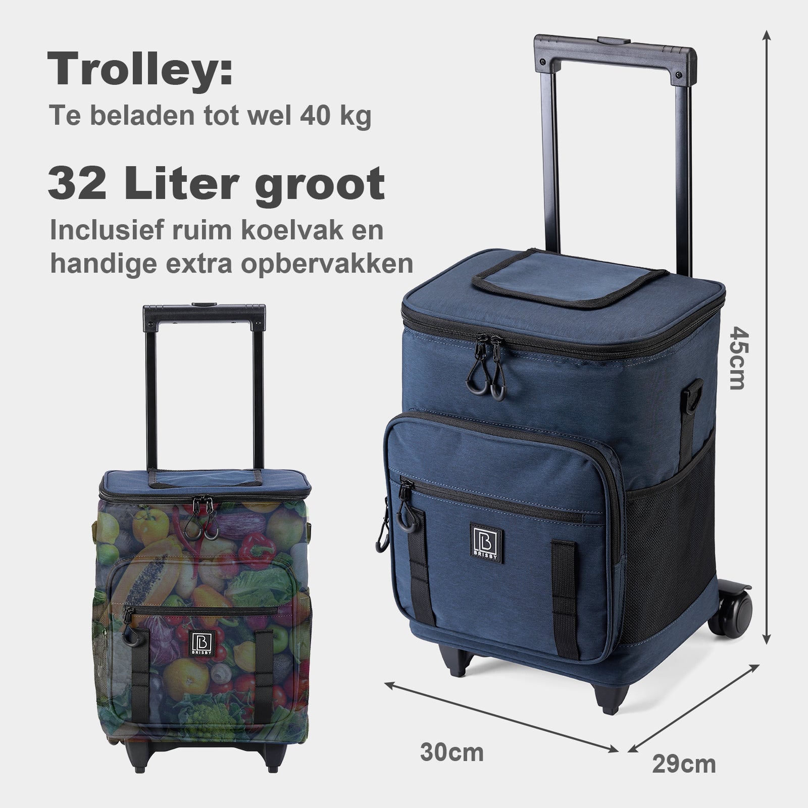 Boodschappentrolley met koelvak 32L blauw - Ideaal voor boodschappen - incl. koelelementen - waterafstotend - verstelbaar handvat