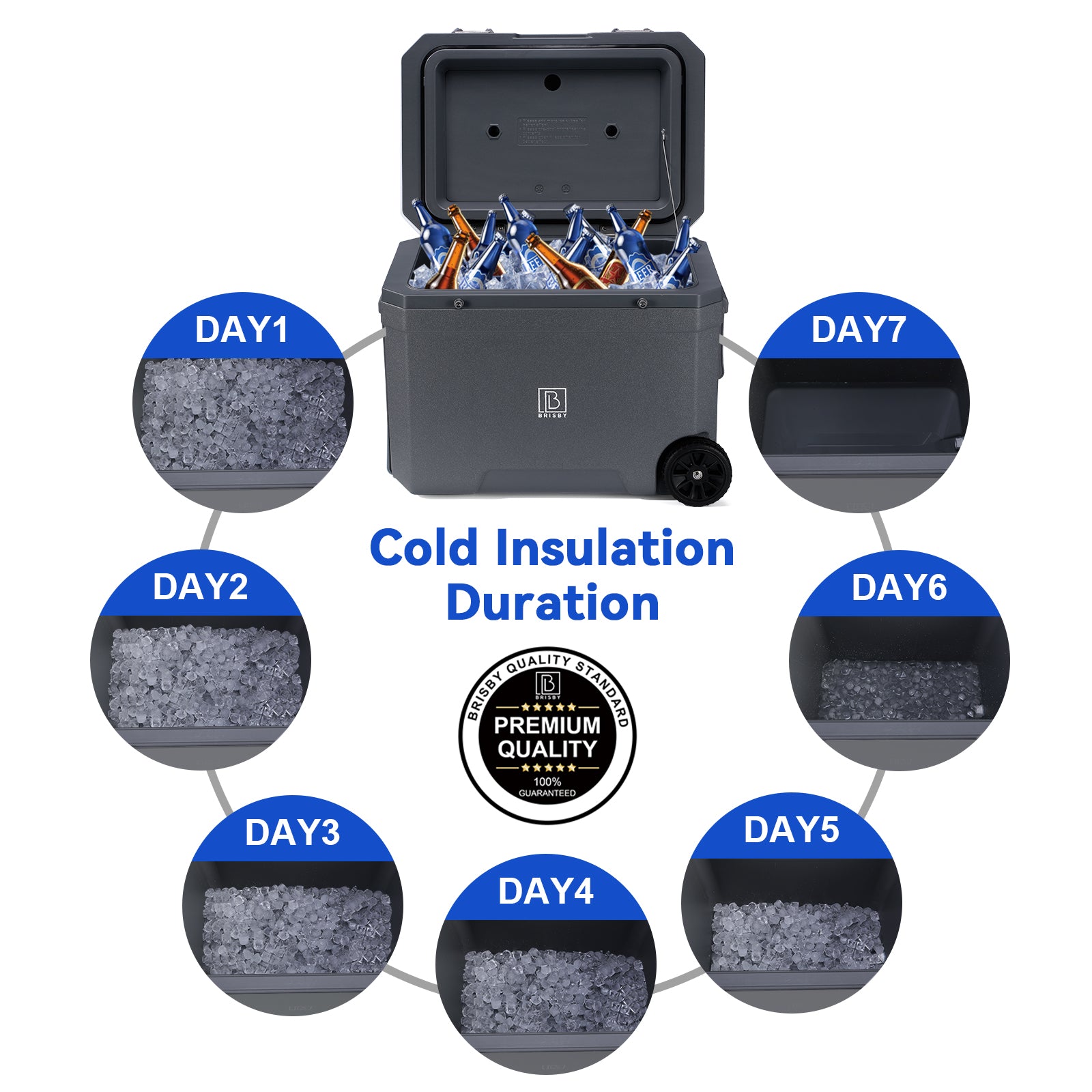 Cool box 45L grey - 3 days insulation - 4 cooling elements - temperature-safe closure