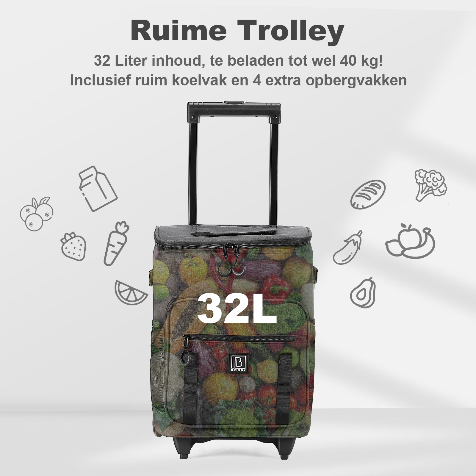 Brisby Boodschappentrolley met Koelvak – 32L Ruimte – Ideaal voor Boodschappen – Inclusief Koelelementen – Waterafstotend – Verstelbaar Handvat – Donkergrijs