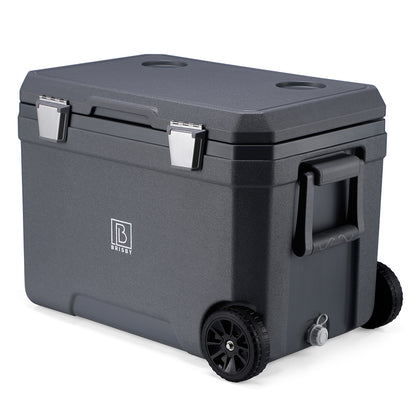 Cool box 45L grey - 3 days insulation - 4 cooling elements - temperature-safe closure