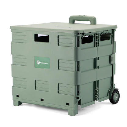Packaway Boodschappentrolley krat XL 50L groen - incl. deksel