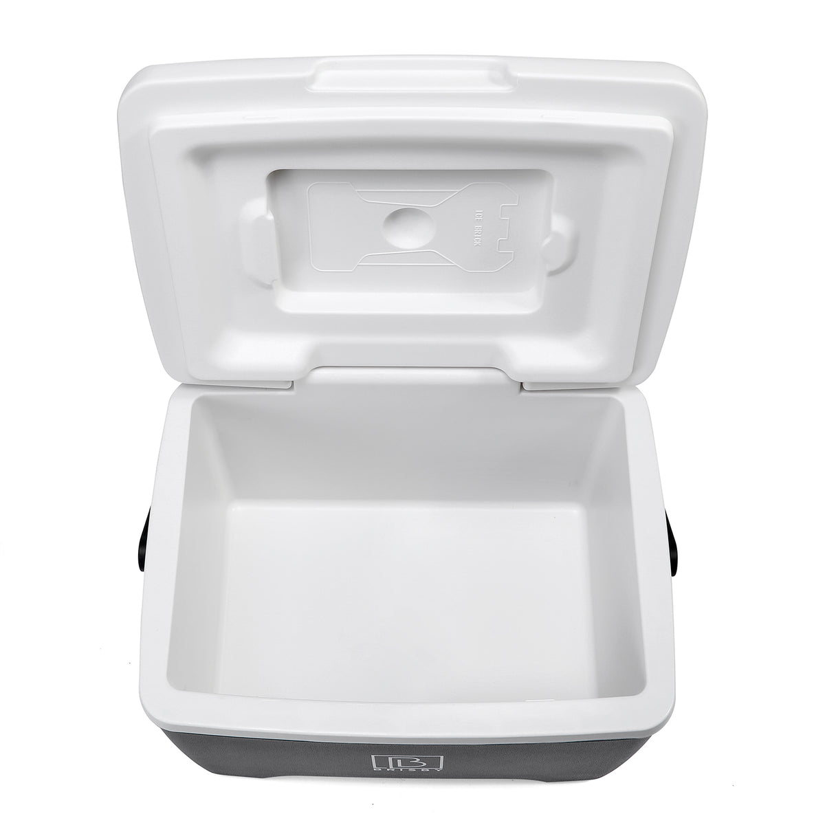 Brisby Koelbox - Frigobox - 8L - Zwart - Tot maximaal 40 uur isolatie - Incl. 2 dikke koelelementen van 450ml - Met koelelementen vergrendeld in deksel en Brisby 500ml Zwarte Dubbelwandige Thermosfles