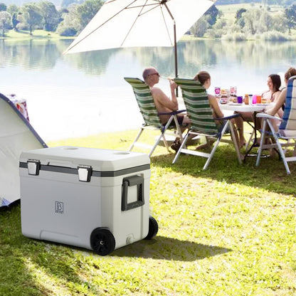 Cool box 45L white - 3 days insulation - 4 cooling elements - temperature-safe closure