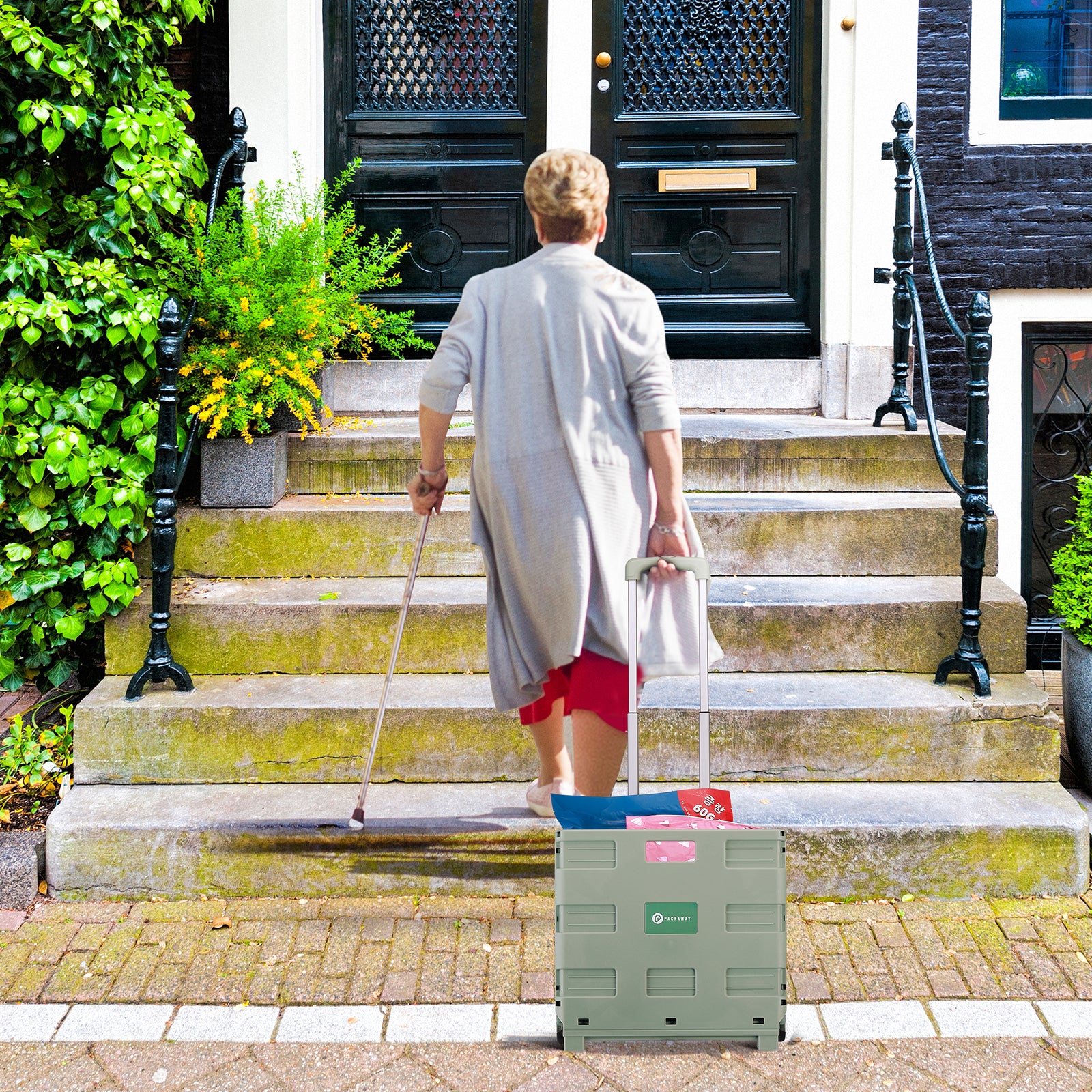 Packaway Boodschappentrolley krat XL 50L groen - incl. deksel