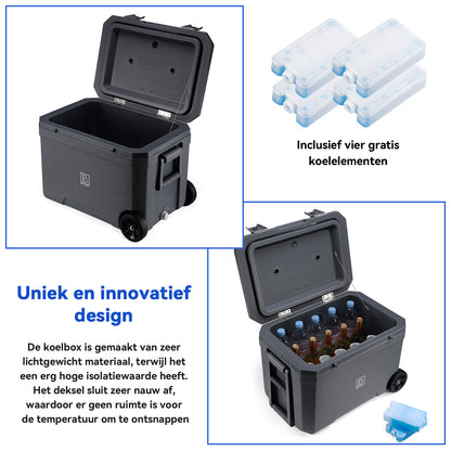 Cool box 45L grey - 3 days insulation - 4 cooling elements - temperature-safe closure
