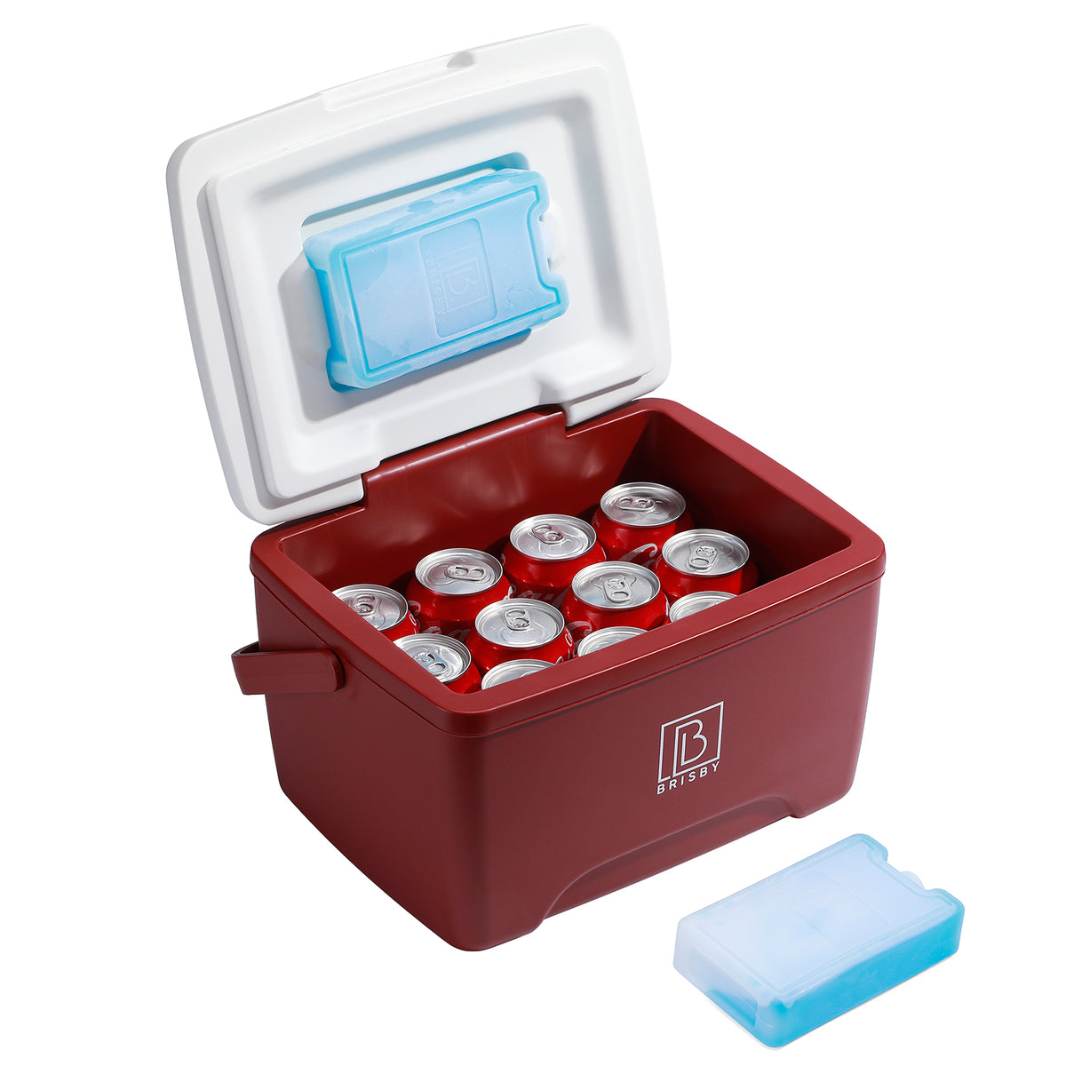Brisby Koelbox - Frigobox - 8L - Rood - Tot maximaal 40 uur isolatie - Incl. 2 dikke koelelementen van 450ml - Met koelelementen vergrendeld in deksel en Brisby 500ml Zwarte Dubbelwandige Thermosfles