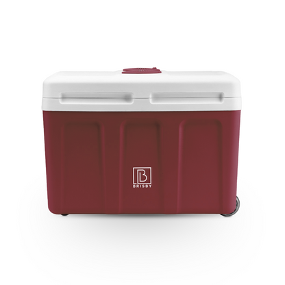 Brisby Elektrische koelbox 40L + 8L rood set - 12V/230V - incl. koelelementen