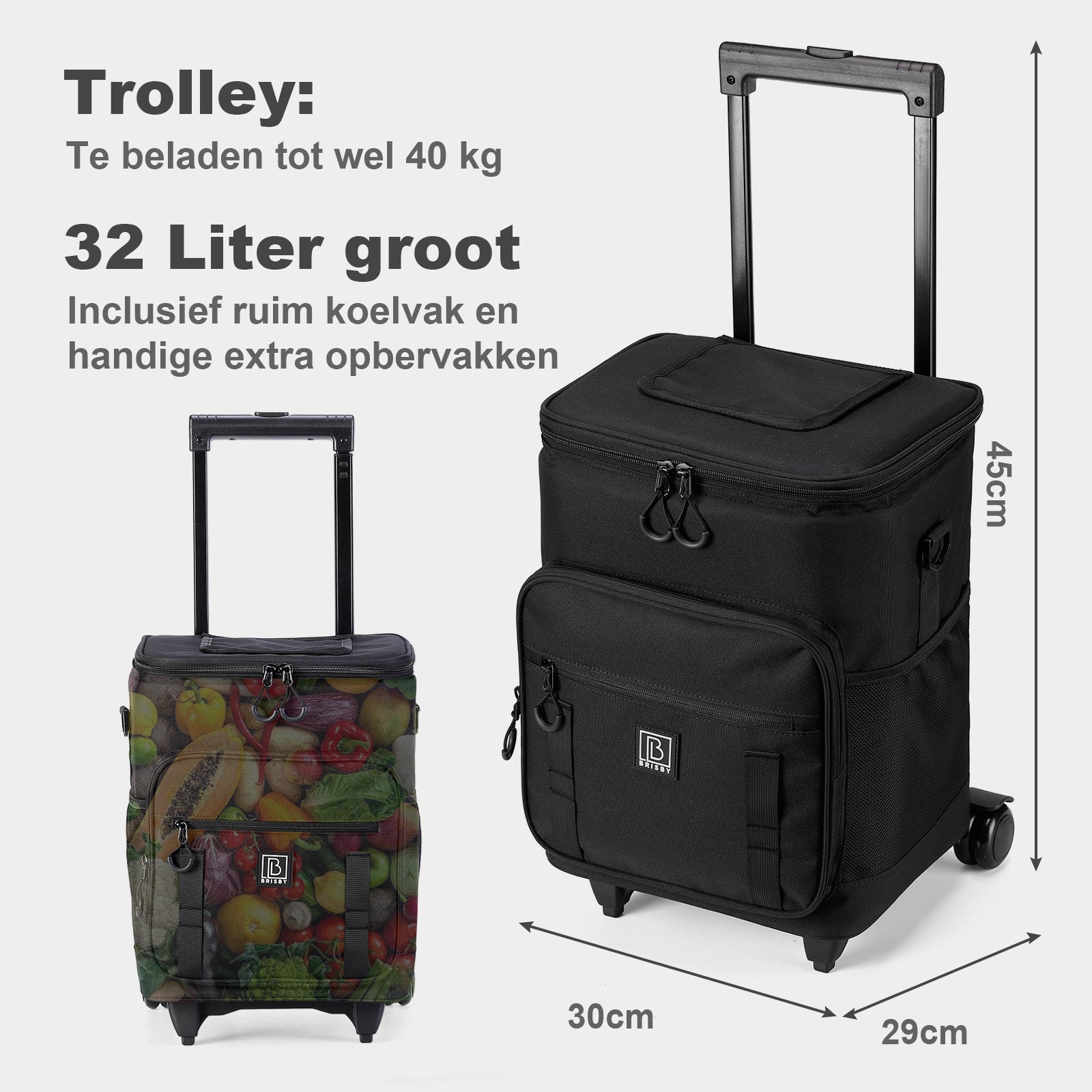 Brisby Boodschappentrolley met Koelvak – 32L Ruimte – Ideaal voor Boodschappen – Inclusief Koelelementen – Waterafstotend – Verstelbaar Handvat – Zwart