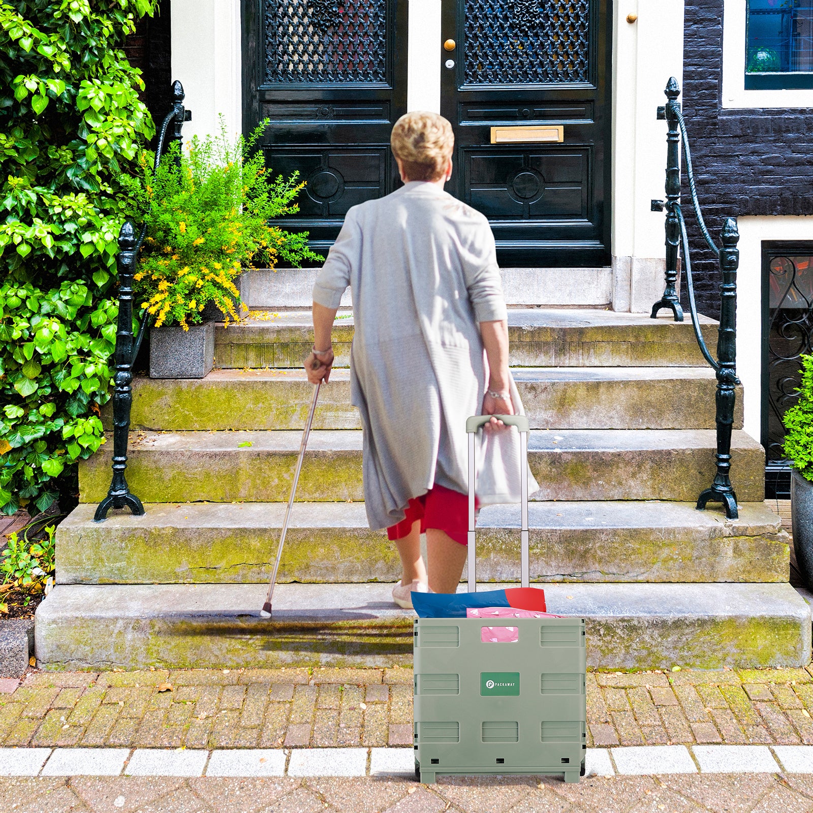 Packaway Boodschappentrolley krat XL 50L groen