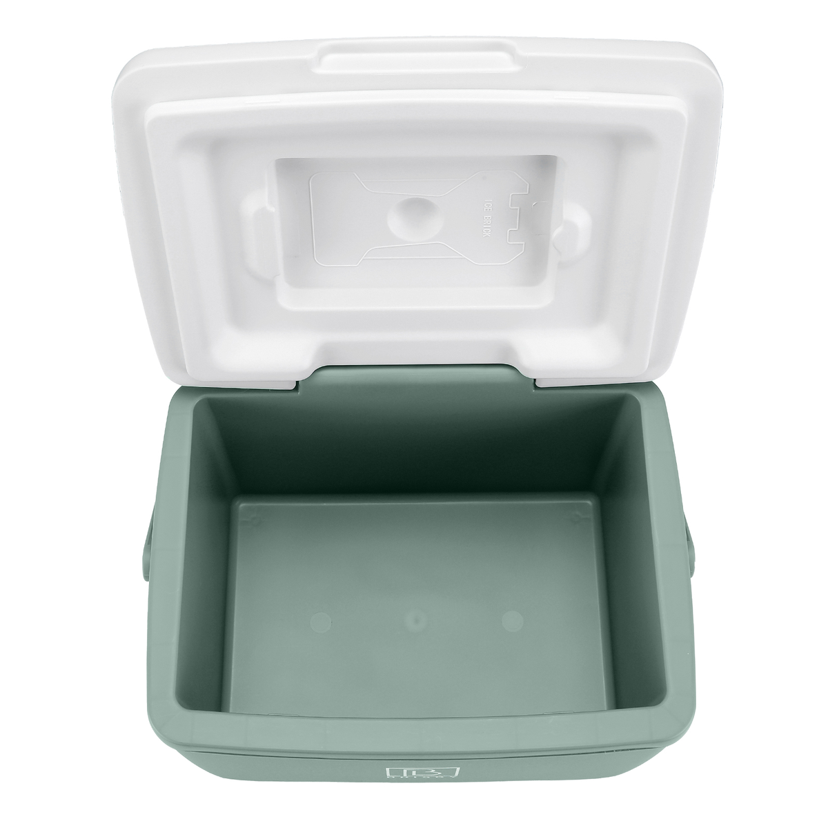 Brisby Koelbox - Frigobox - 8L - Groen - Tot maximaal 40 uur isolatie - Incl. 2 dikke koelelementen van 450ml - Met koelelementen vergrendeld in deksel en Brisby 500ml Zwarte Dubbelwandige Thermosfles