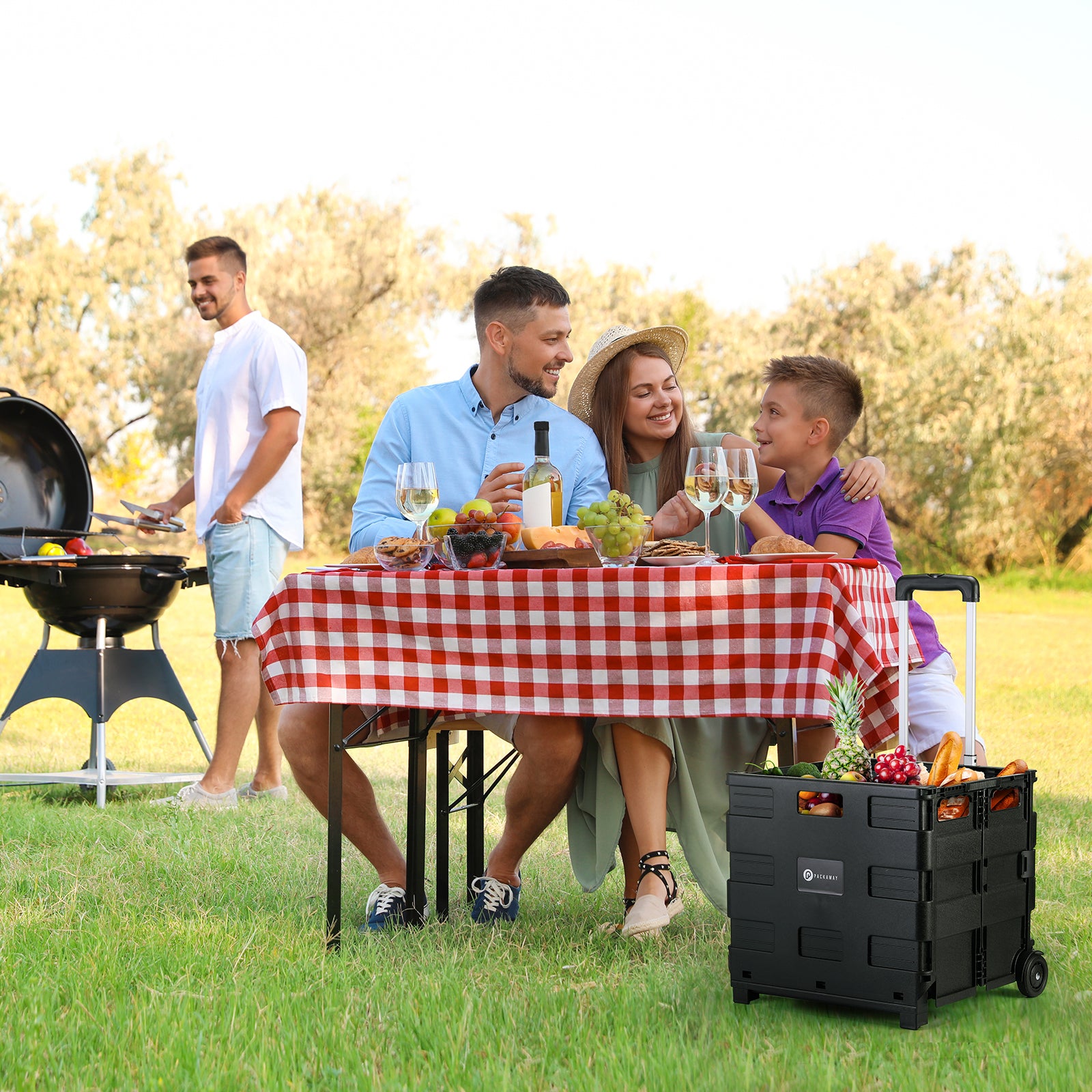 Boodschappentrolley 50L XL zwart - boodschappenkrat - opbergbox - boodschappenwagen - vouwkrat - 35 kg draagvermogen - met deksel en telescopisch handvat