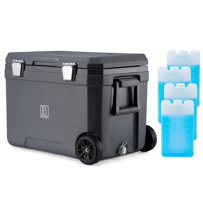 Cool box 45L grey - 3 days insulation - 4 cooling elements - temperature-safe closure