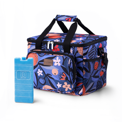 Cooler bag 15L valencia - lunch bag - 4-layer insulated - foldable - incl. 2 free cooling elements and carrying strap