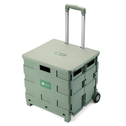 Packaway Boodschappentrolley krat XL 50L groen - incl. deksel