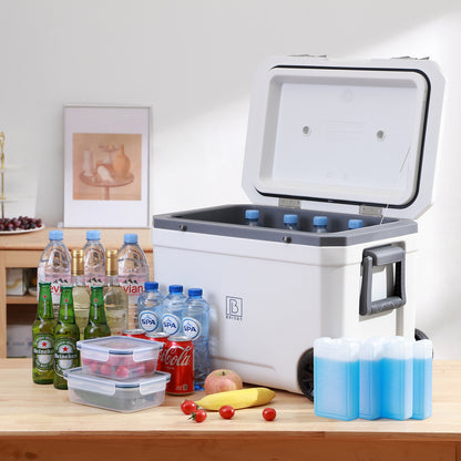 Brisby Koelbox 45L wit - incl. 4 koelelementen