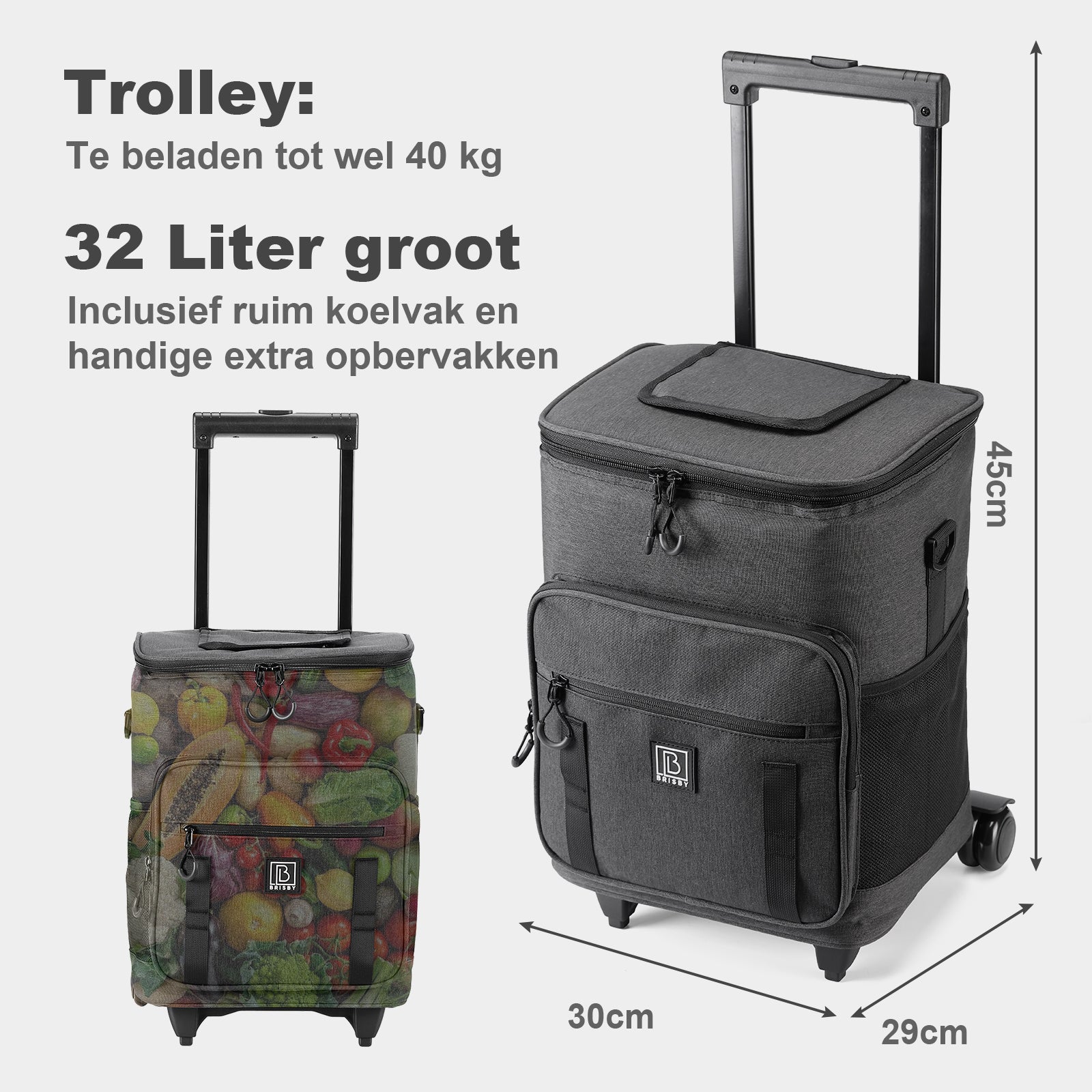 Boodschappentrolley met koelvak 32L donkergrijs - Ideaal voor boodschappen - incl. koelelementen - waterafstotend - verstelbaar handvat