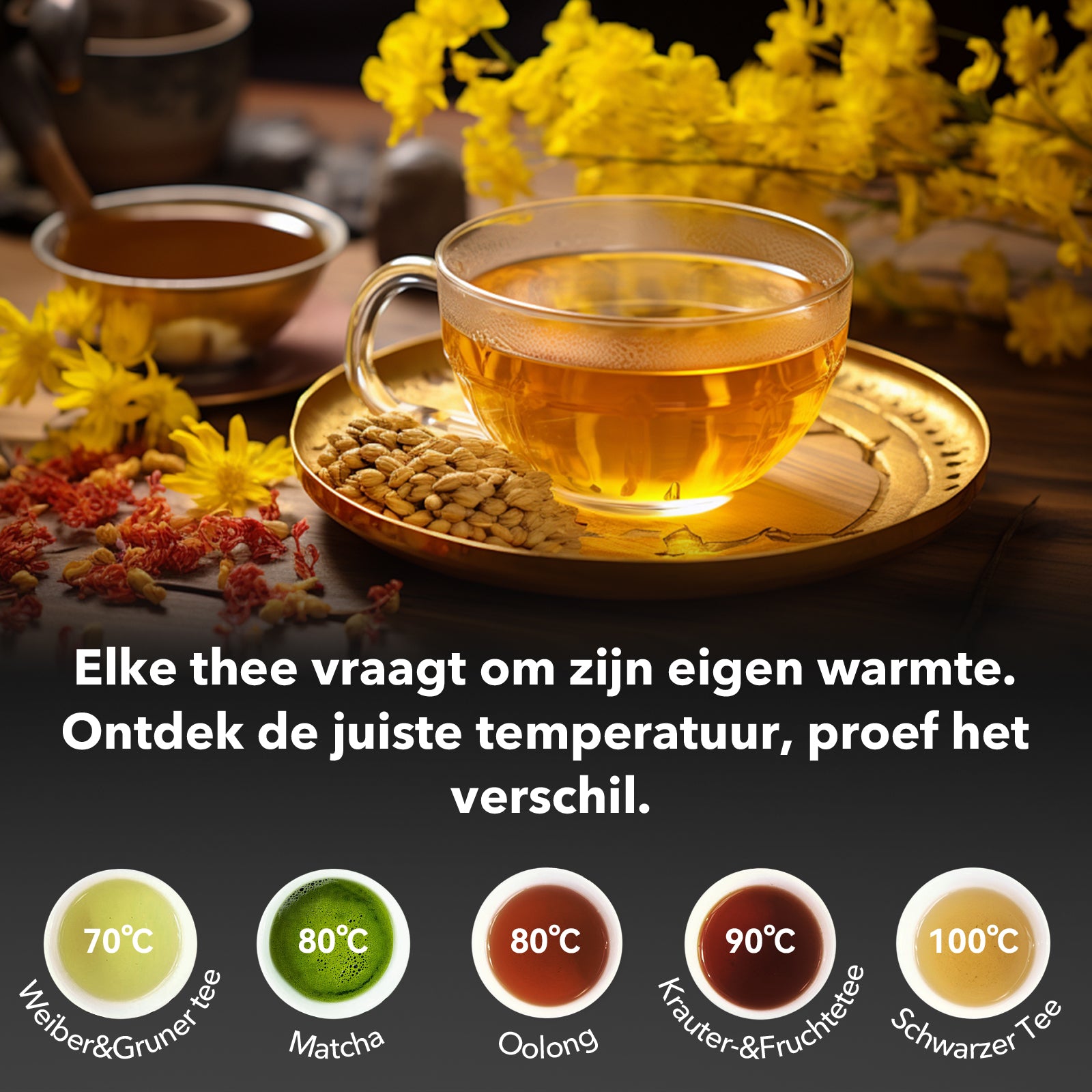 Bardi Heetwaterdispenser 2,6L zwart - incl.thermoscup + onderzetter - instant-heating - 6 temperatuurstanden