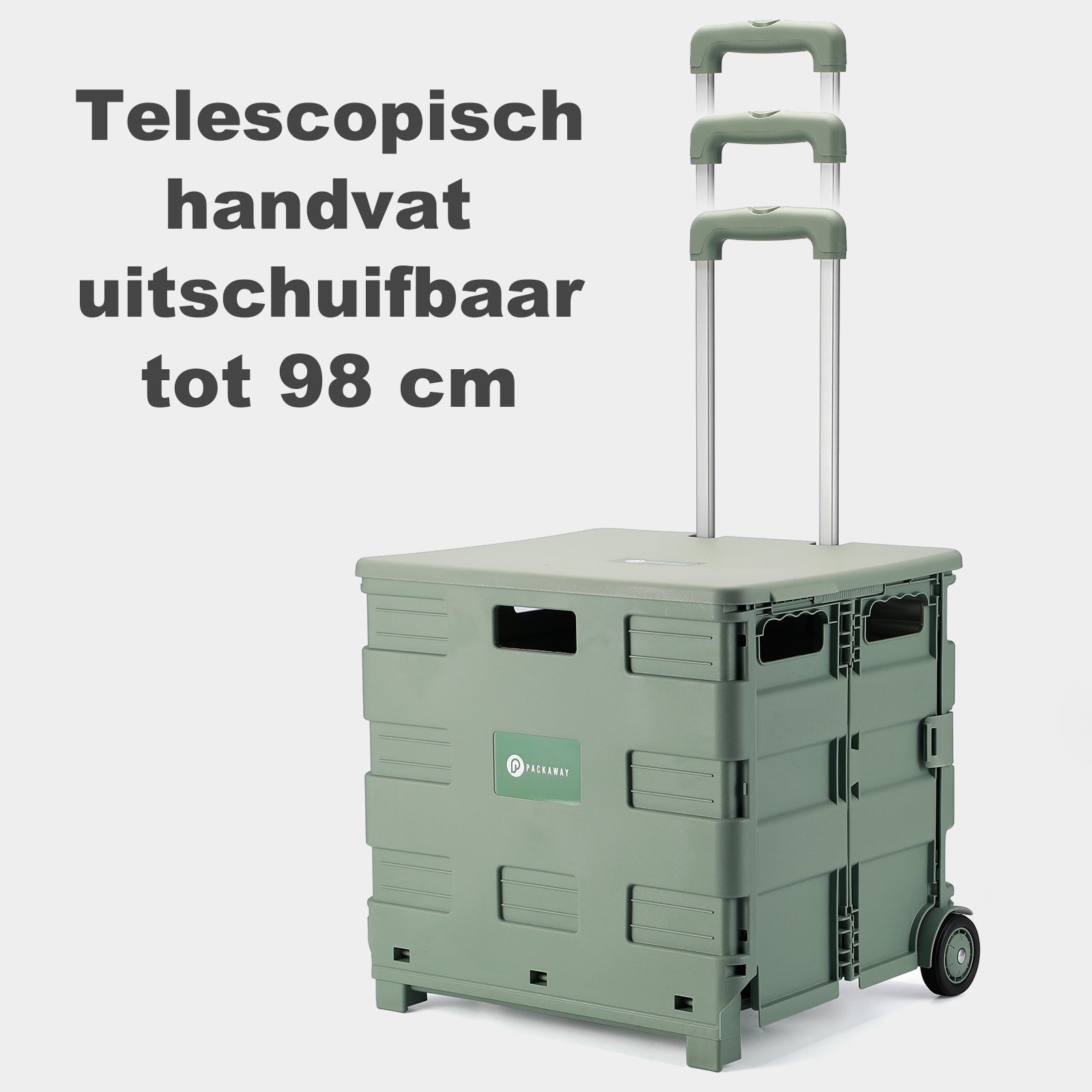 Boodschappentrolley 50L XL groen - boodschappenkrat - 35 kg draagvermogen - met deksel en telescopisch handvat