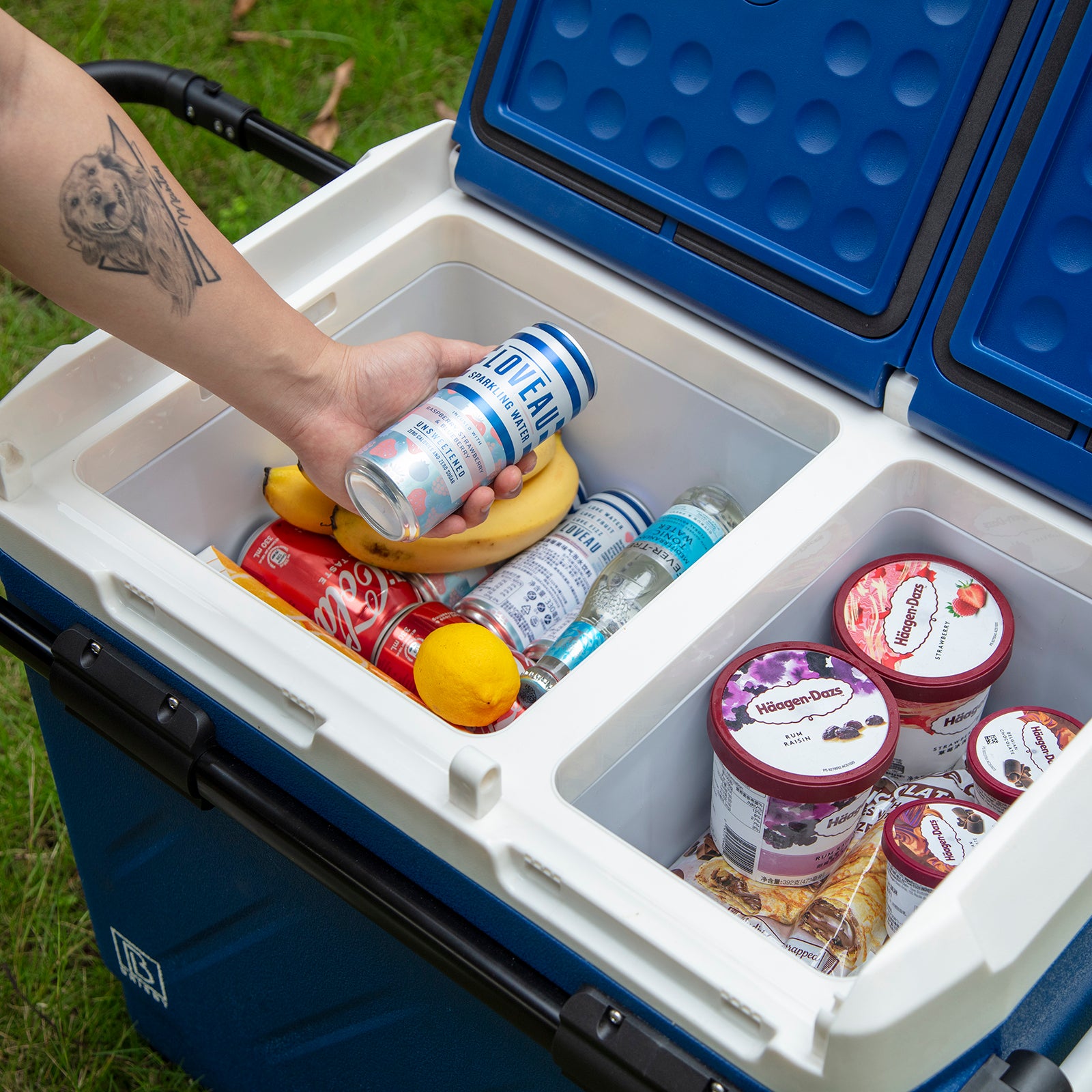 Brisby Compressor koelbox 49,1L blauw - incl. 2x 1,2L thermosbeker