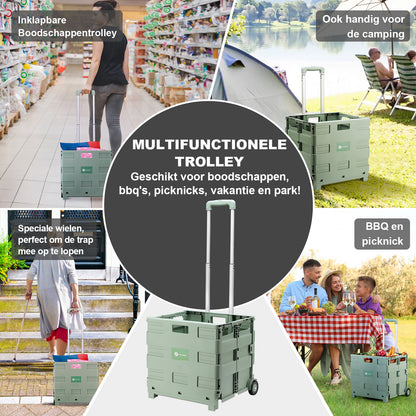 Packaway Boodschappentrolley krat XL 50L groen